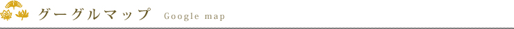 グーグルマップ　Google Map