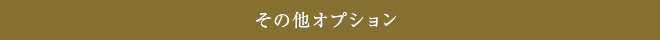 その他オプション