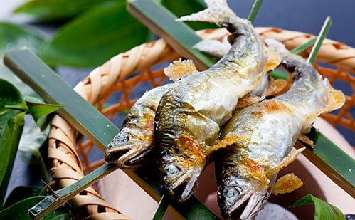 芳ばしい香りとほのかな苦み「若鮎炭火焼」 芳ばしい香りとほのかな苦み「若鮎炭火焼」