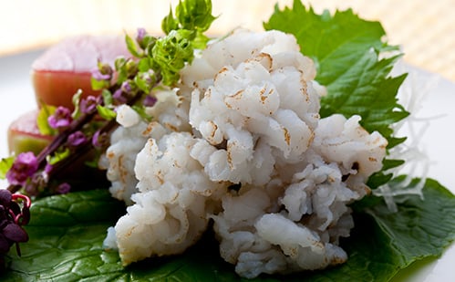 造里「鱧焼霜と旬の潮の二種盛り」 造里「鱧焼霜と旬の潮の二種盛り」