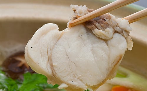 プリプリの歯ごたえ!旬のふぐをお鍋で堪能「活ふぐちり鍋」 プリプリの歯ごたえ!旬のふぐをお鍋で堪能「活ふぐちり鍋」