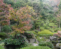 秋・冬の庭園