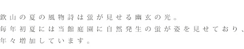 欽山の夏の風物詩は蛍が見せる幽玄の光。毎年初夏には当館庭園に自然発生の蛍が姿を見せており、年々増加しています。