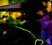 画像：庭園の蛍