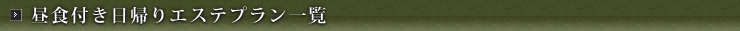 夕食付き日帰りエステプラン一覧