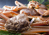 【冬の味覚】山陰・浜坂直送 松葉蟹づくし