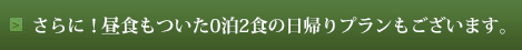さらに！昼食もついた0泊2食の日帰りプランもございます。