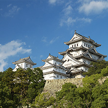 【有馬宿泊×姫路観光】1泊2食＆レンタカー付きプラン