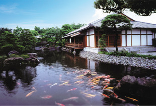 【観光】姫路城西お屋敷跡庭園・好古園（こうこえん）